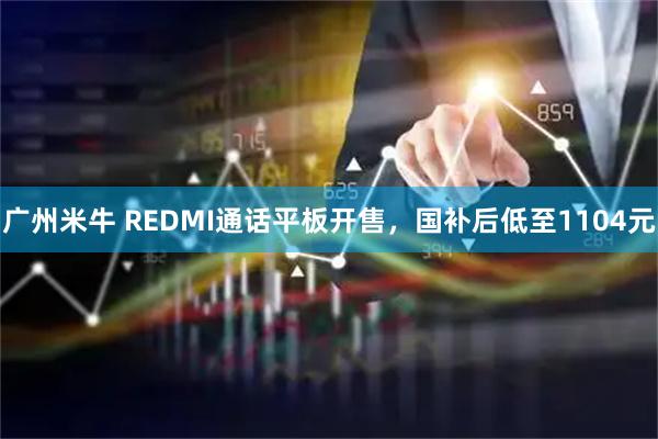 广州米牛 REDMI通话平板开售，国补后低至1104元